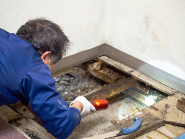 Best Bathroom Mold Remediation in Aquia Harbour, VA