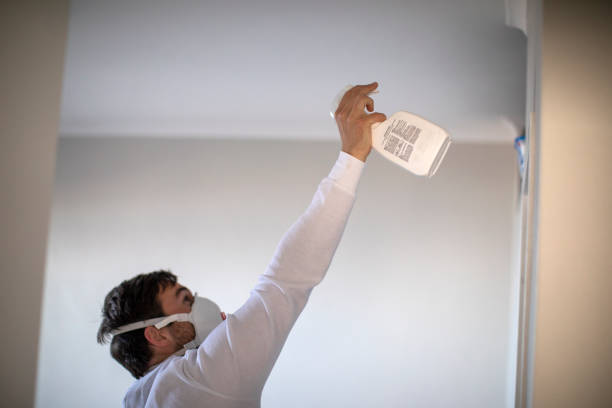 Best Insurance-Related Mold Remediation in Aquia Harbour, VA