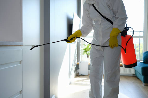 Best Residential Mold Remediation in Aquia Harbour, VA