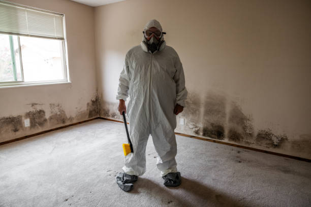 Best Post-Remediation Services in Aquia Harbour, VA